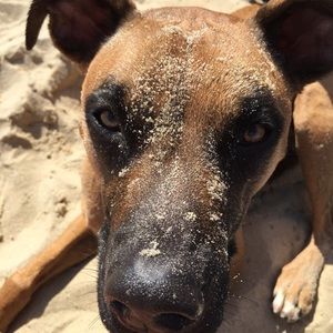 Meet your Posher, Karen